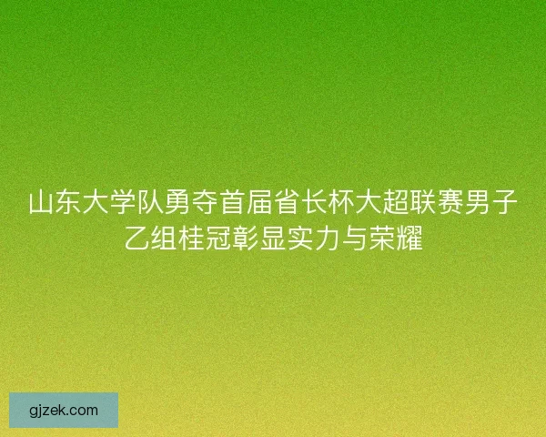 山东大学队勇夺首届省长杯大超联赛男子乙组桂冠彰显实力与荣耀
